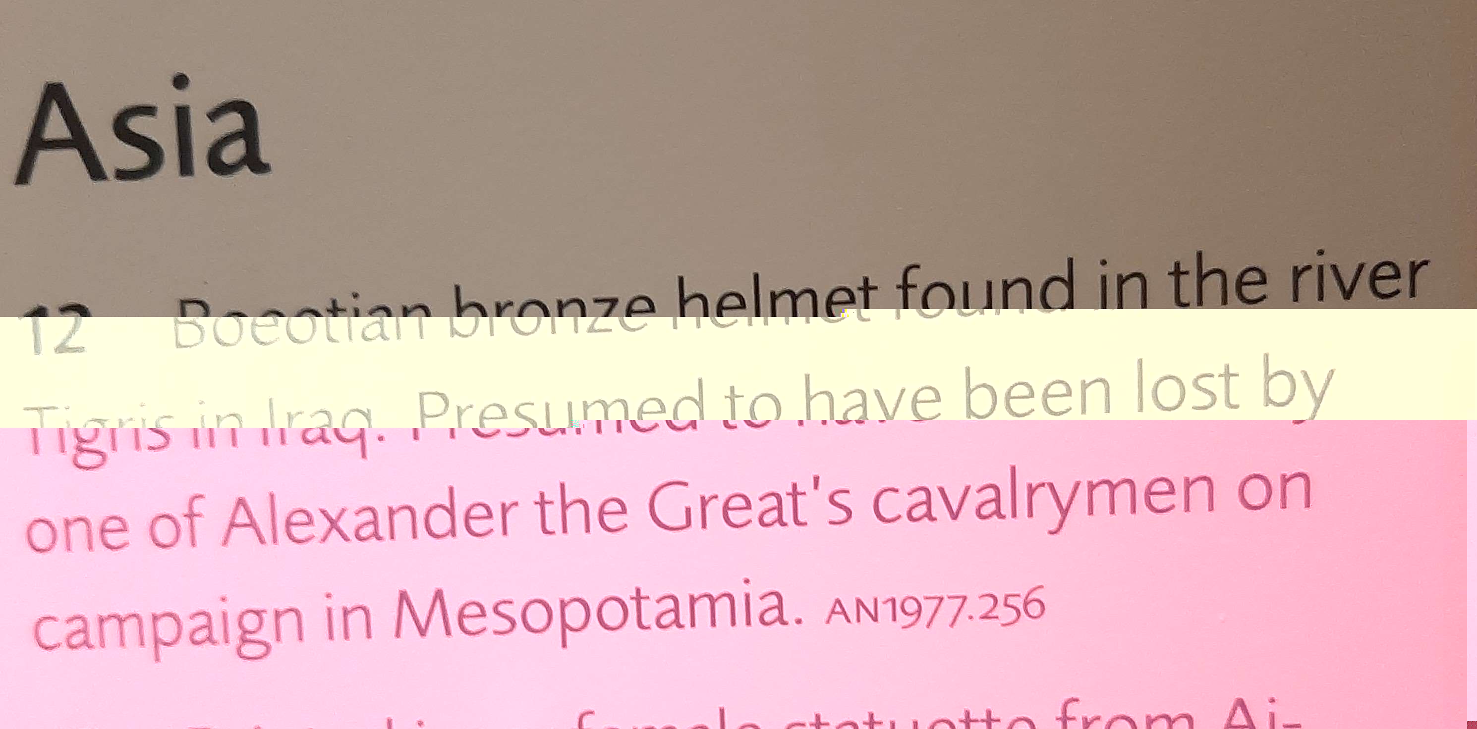 helmet2   .jpg